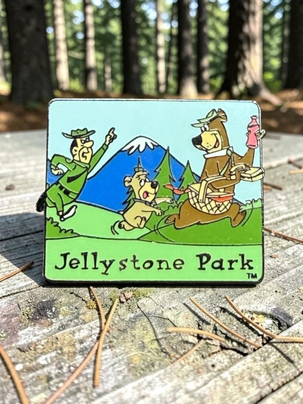 Vintage 1993 Hanna-Barbera Jellystone Park enamel Pin by Pinnacle Designs